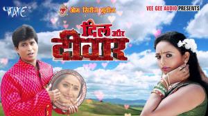 Dil Aur Deewar Poster