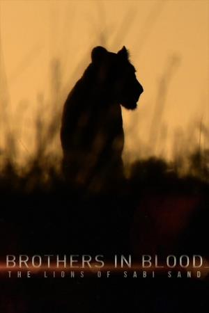 Brothers In Blood: The Lions Of Sabi Sand Poster