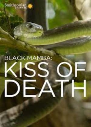 Black Mamba: Kiss Of Death Poster