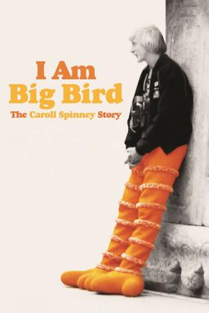 Big Story Poster