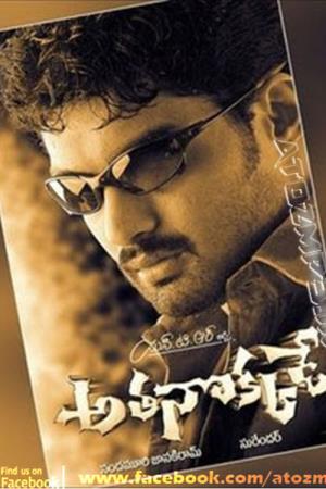 International Don Poster