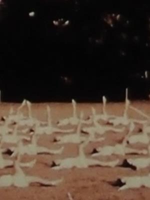 Take 5 Poster