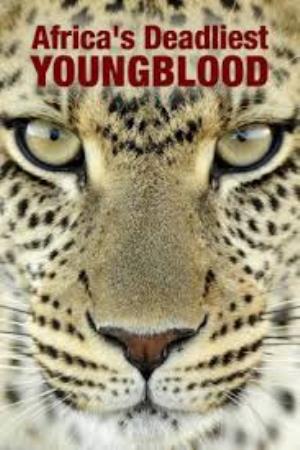 Botswana - Africa's Deadliest: Young Blood Poster