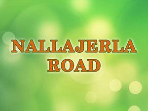 Nallajerla Road Poster
