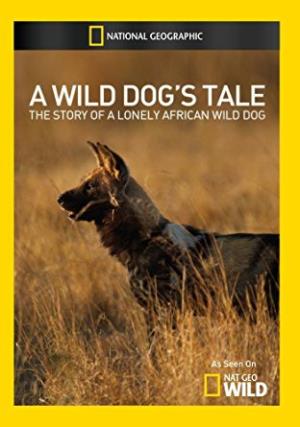 A Wild Dog's Tale Poster