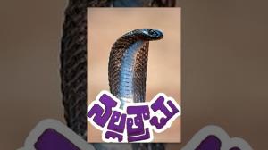 Nalla Trachu Poster