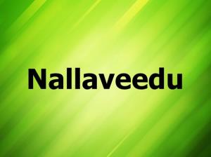 Nallaveedu Poster