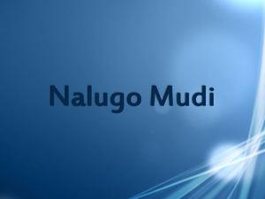 Nalugo Mudi Poster