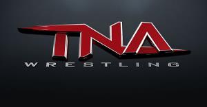 TNA Greatest Matches 2015 Poster