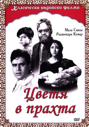 Dhool Ka Phool Poster