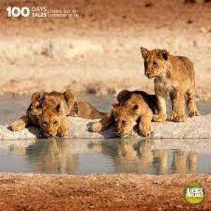 100 Days 100 Tales Poster