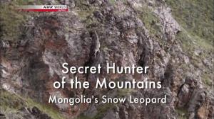 Secret Hunter Of The Mountains: Mongolia's Snow Leopard Poster