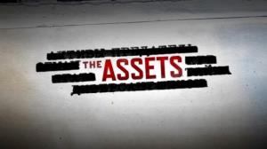 The Assets Poster