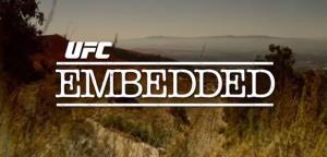 UFC Embedded Poster
