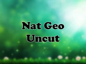 Nat Geo Uncut Poster