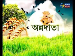 Annadata Gujarat Poster