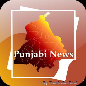 Punjabi News / Special Report Poster