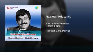 Nazhiyuri Palukondu Poster