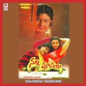 Nallapoosalu Poster