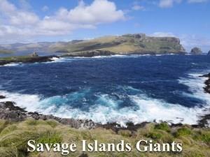 Savage Islands Giants Poster