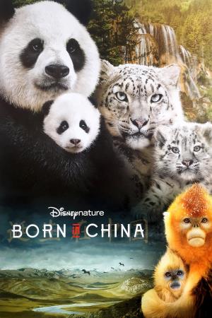 Born In China Poster