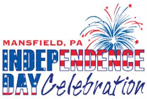 Tv Report On Independence Day Celebration Poster