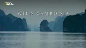 Wild Cambodia Poster