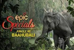 Jungle Ke Baahubali Poster