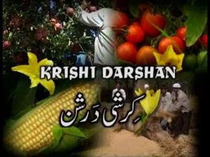 Panel Discussion Of Krishi Darshan Poster