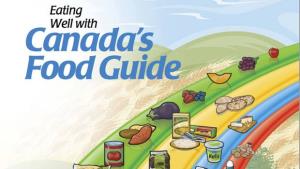 Food Guides Poster