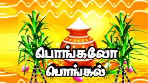 Pongal Kondattam Pongalo Pongal - Maatu Pongal Special 2019 Poster