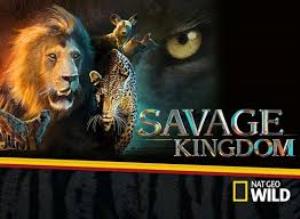 Wildlife: Savage Kingdom Poster