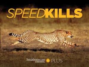 Wildlife: Speed Kills Poster