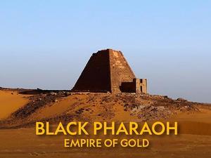Investigates: Black Pharaohs: Empire Of Gold Poster