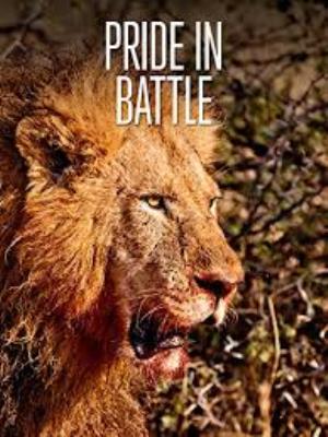 Wildlife: Botswana - Battle for Pride Poster
