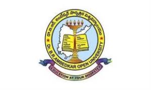 Dr. B.R. Ambedkar Open University Poster
