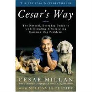 Adventure: Cesar To The Rescue Poster