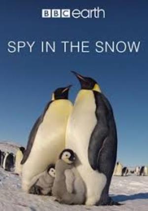 Spy In The Snow Poster
