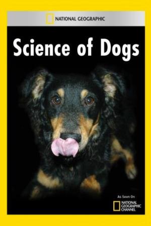 Science Of Dogs Poster