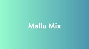 Mallu Mix Poster
