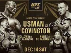 Inside The Octagon UFC 245 Poster