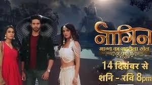 Naagin Bhagya Ka Zehreela Khel Poster