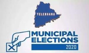 Municipal Elections Poster