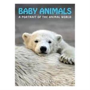 The Wonderful World Of Animal Babies Poster
