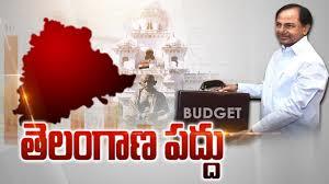 Nava Nari Chitram / TS Budget Live Poster