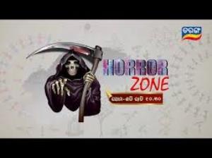 Horror Zone Poster