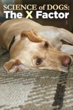 Science of Dogs: The X Factor Poster