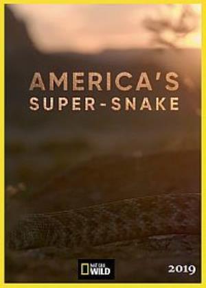 America's Super-snake Poster