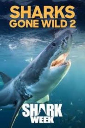 Sharks Gone Wild Poster