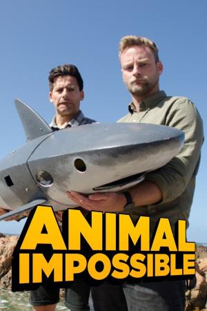 Animal Impossible Poster